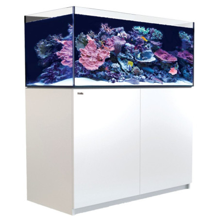 RED SEA - Reefer 425 G3 - Blanc - 433L