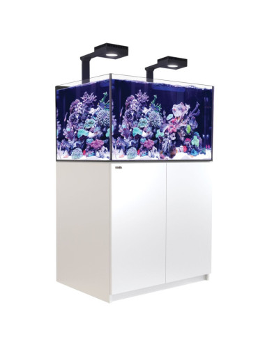 RED SEA - Reefer 300 G3...