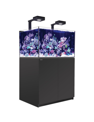 RED SEA - Reefer 300 G3 Deluxe - Noir - 300L - 2 ReefLED 115 et 2 potences