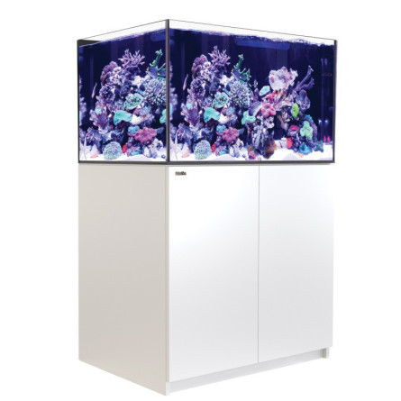 RED SEA - Reefer 300 G3 - Blanc - 300L