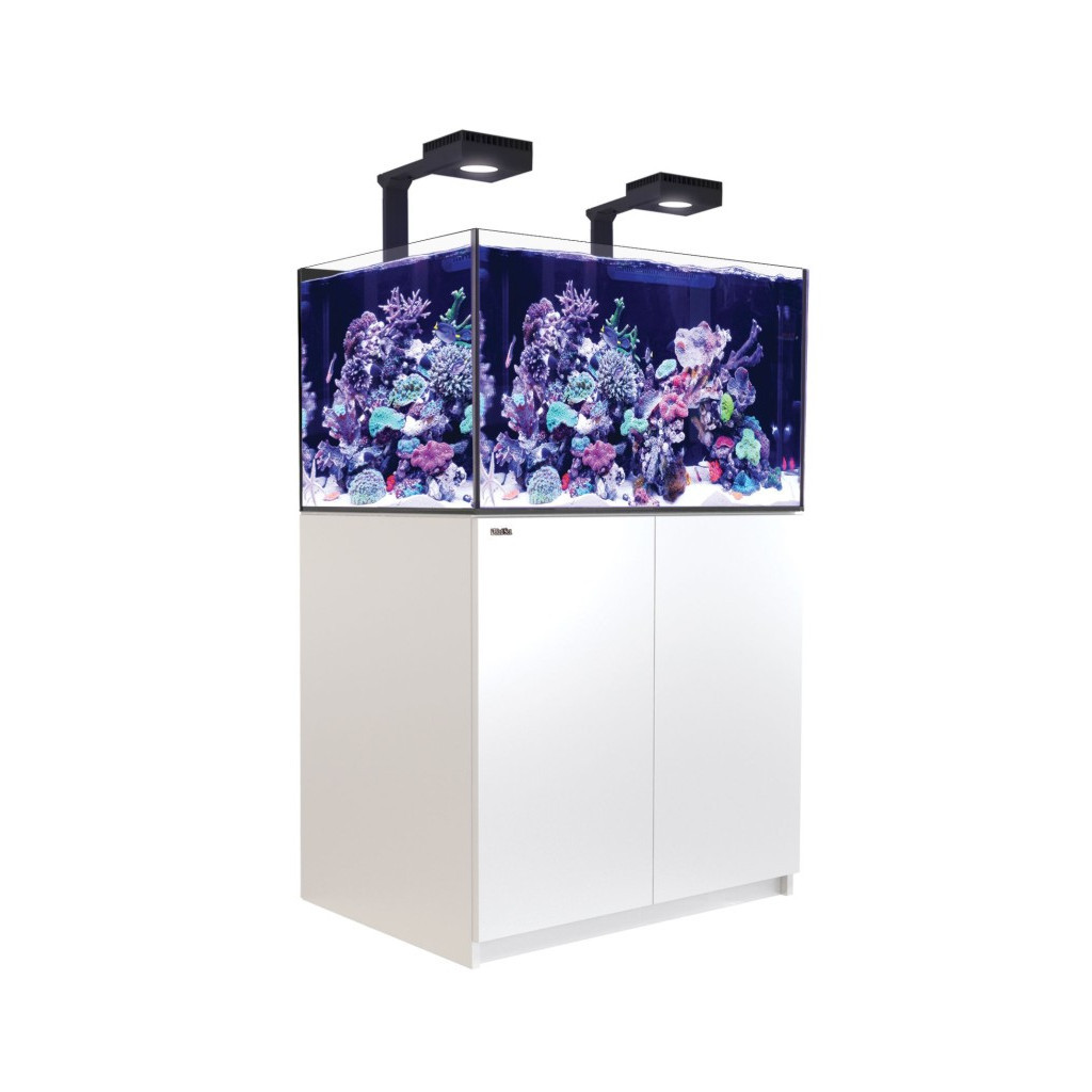 RED SEA - Reefer 250 G3 Deluxe - Blanc - 245L - 2 ReefLED 115 et 2 potences