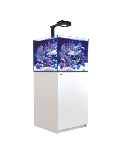 RED SEA - Reefer 200 G3 Deluxe - Wit - 200L - 1 ReefLED 115 en 1 steel