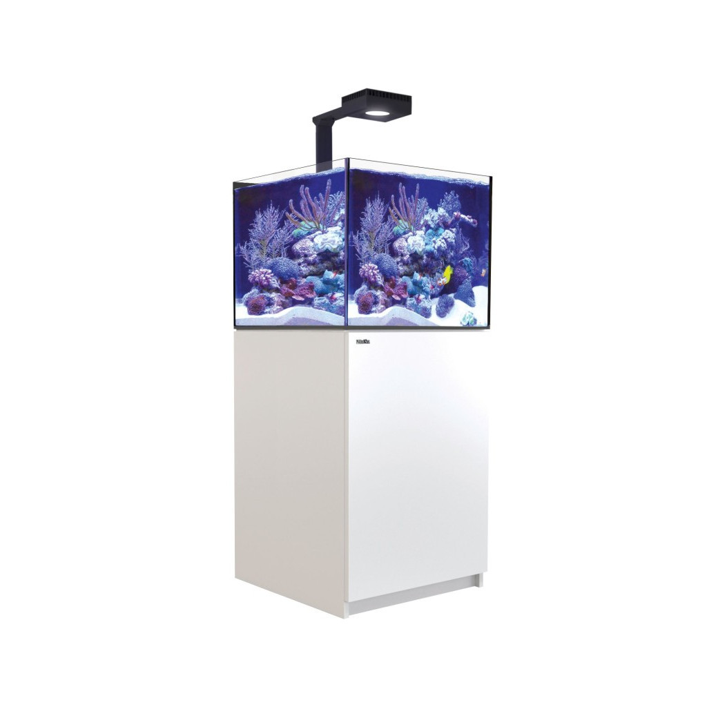 RED SEA - Reefer 200 G3 Deluxe - Blanc - 200L - 1 ReefLED 115 et 1 potence