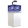 RED SEA - Reefer 200 G3 Deluxe - Blanc - 200L - 1 ReefLED 115 et 1 potence