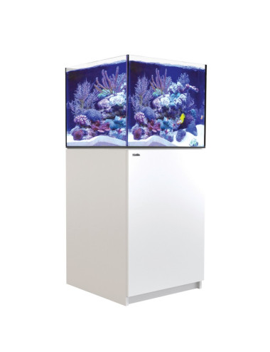 RED SEA - Reefer 170 G3 -...