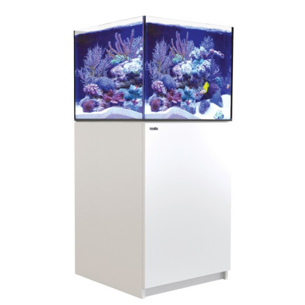 RED SEA - Reefer 170 G3 - Blanc - 165L