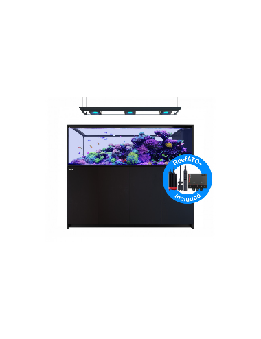 RED SEA – Reefer Peninsula...