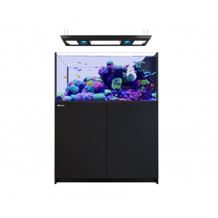 RED SEA - Reefer Peninsula 350 G3 Deluxe - Noir- 2 ReefLED 170 + rampe suspendue