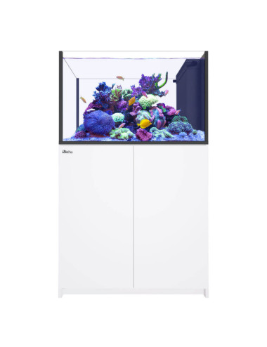 RED SEA - Reefer Peninsula 350 G3  - Blanc