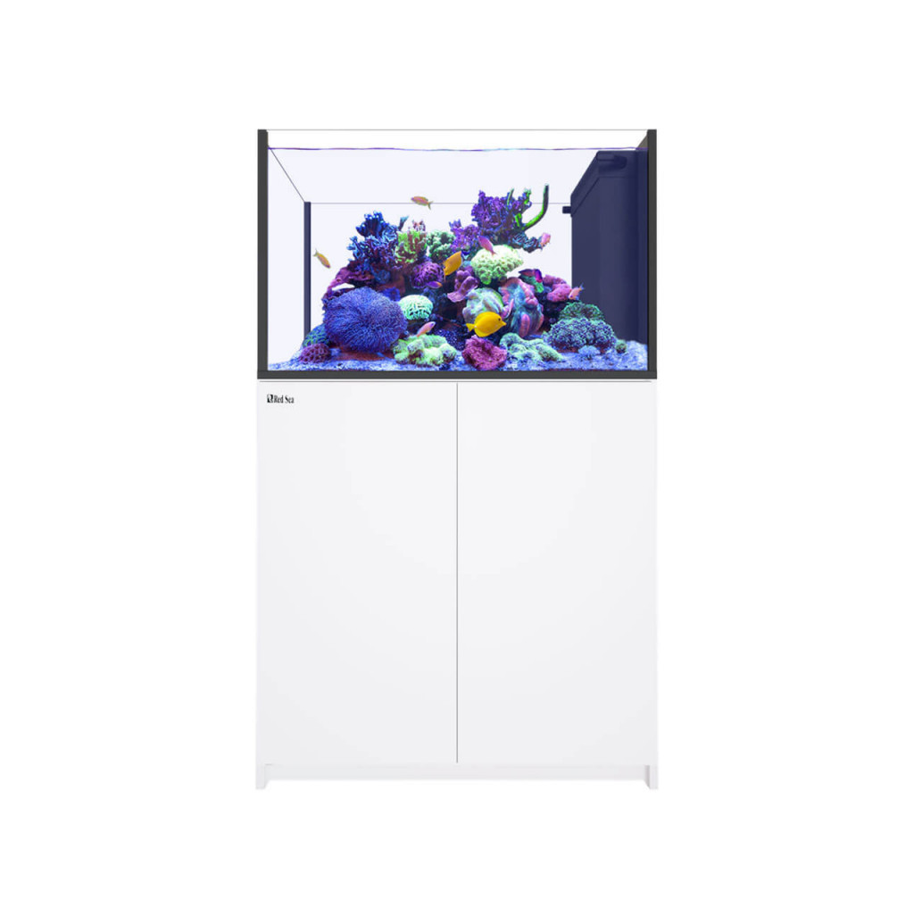 RED SEA - Reefer Peninsula 350 G3  - Blanc