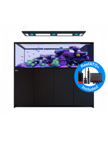 RED SEA - Reefer MAX...