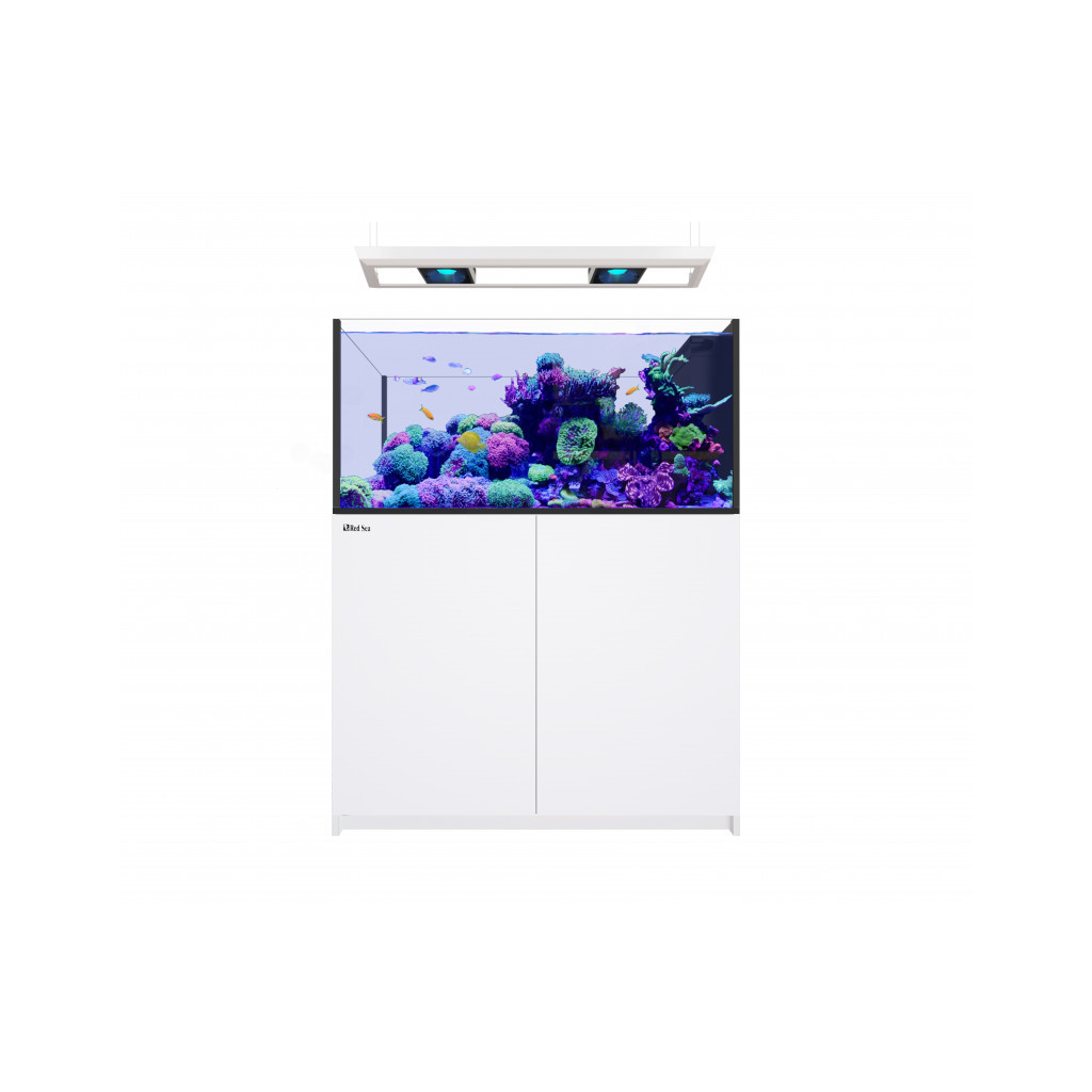RED SEA - Reefer MAX Peninsula 500 G3 - Blanc avec rampe suspendue