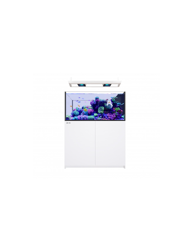 RED SEA - Reefer MAX Peninsula 350 G3 - Blanc avec rampe suspendue