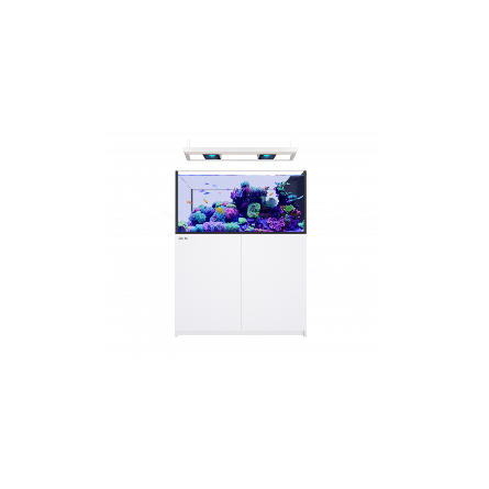 RED SEA - Reefer MAX Peninsula 350 G3 - Blanc avec rampe suspendue
