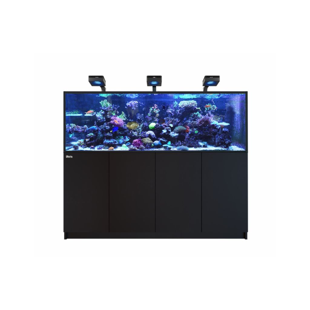 RED SEA - Reefer MAX S 700 G3- Noir
