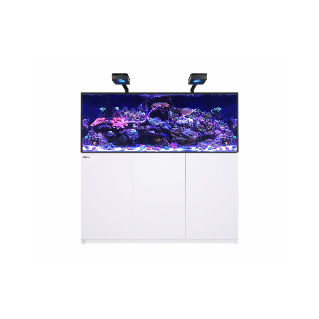 RED SEA - Reefer MAX 625 G3 - Blanc