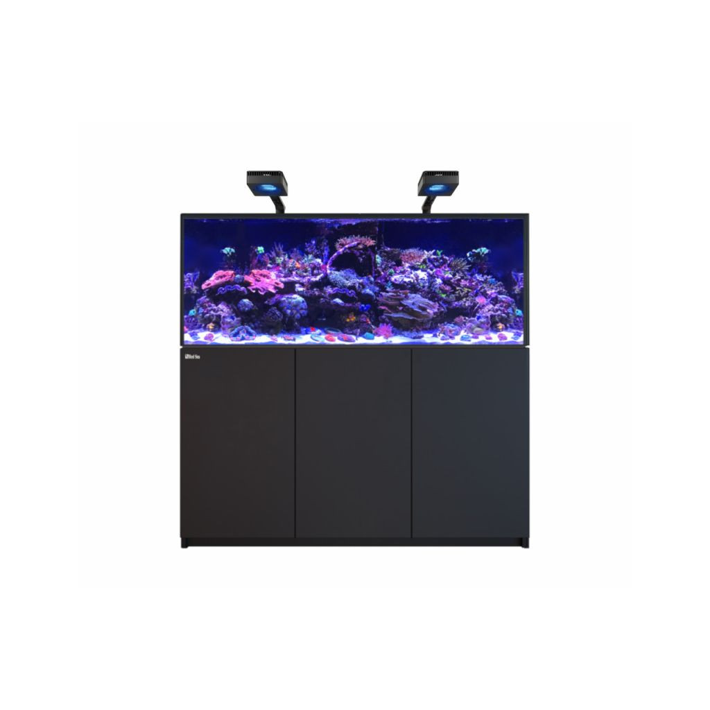 RED SEA - Reefer MAX 625 G3 - Noir
