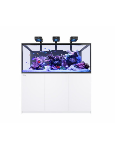 RED SEA - Kühlcontainer MAX...