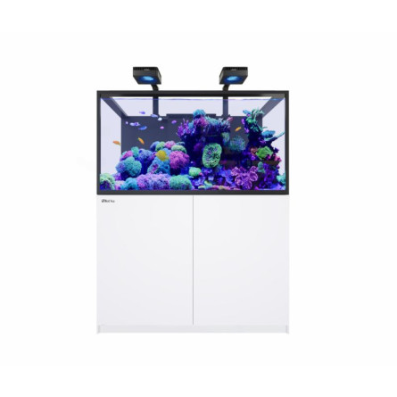 RED SEA - Reefer MAX 425 G3 - Blanc