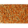 TETRA - Tablets TabiMin XL - 133 tablettes - Aliment complet pour les grands poissons de fond