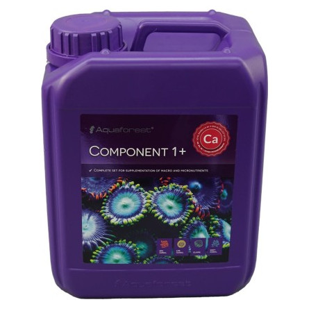 AQUAFOREST - Component +1 - 5L