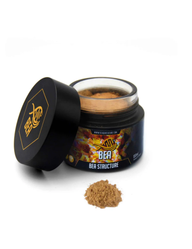 BEA – Korallenstruktur –...