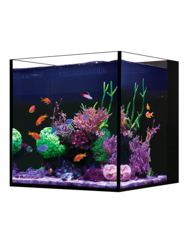 RED SEA - Stolna kocka - 75 L