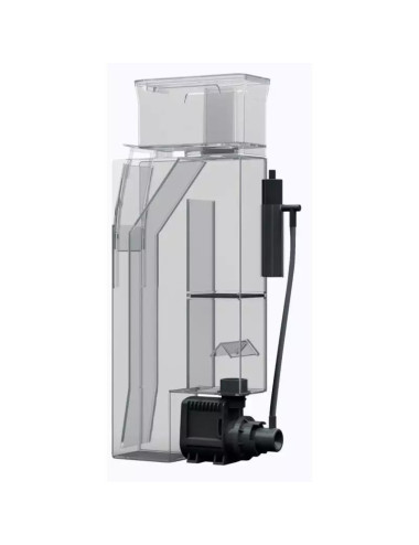 RED SEA - Namizni...