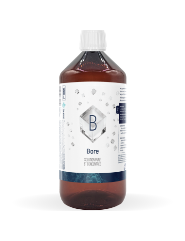 ZOANTHUS LAB - Bore - 1000ml