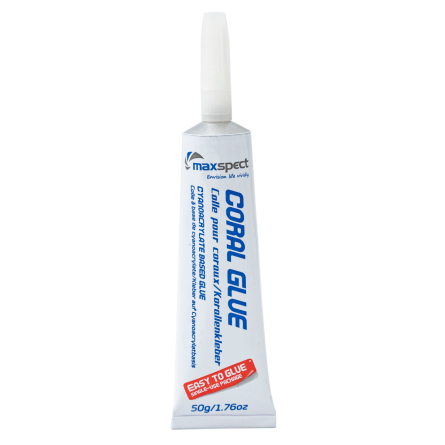 MAXSPECT - Colle pour Coraux - 50g