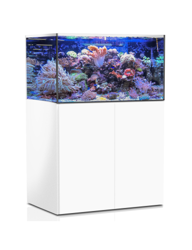 AQUA MEDIC - Armatus 375 XD - Blanc - Aquarium d\'eau de mer