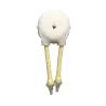 AQUA NOVA - 4-Wege-Dosierpumpe AQUA NOVA - 4-Wege-Dosierpumpe