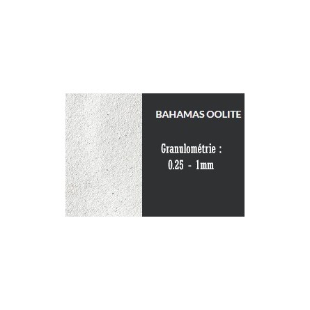 CARIBSEA Bahamas Oolite - 9 07kg