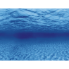 AQUA NOVA - Poster de fond Racines/Eau - 150x60cm