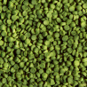 SERA – Granugreen 250 ml – Pflanzennahrung für kleine pflanzenfressende Buntbarsche