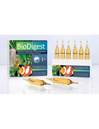 PRODIBIO BioDigest 6 ampoules