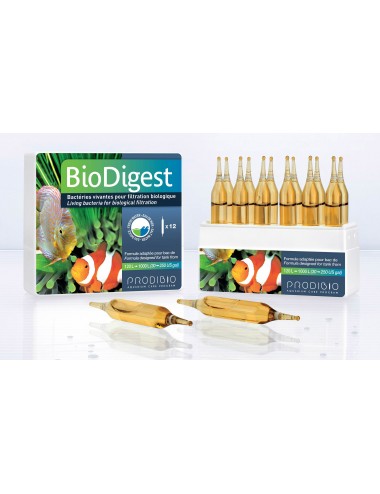 PRODIBIO BioDigest 12 ampoules