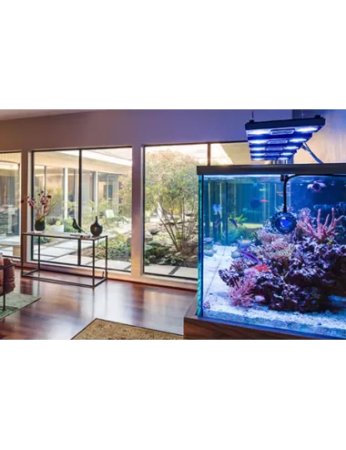 ECOTECH MARINE - ReefLink - Centre de commande d'aquarium - Pour LED Radion et Vortech
