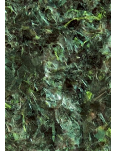 OCEAN NUTRITIONS - Green Seaweed - 30g