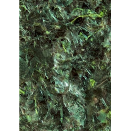 OCEAN NUTRITIONS - Green Seaweed - 30g