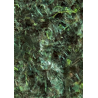 OCEAN NUTRITIONS - Grüne Meeresalgen - 30 g OCEAN NUTRITIONS - Grüne Meeresalgen - 30 g
