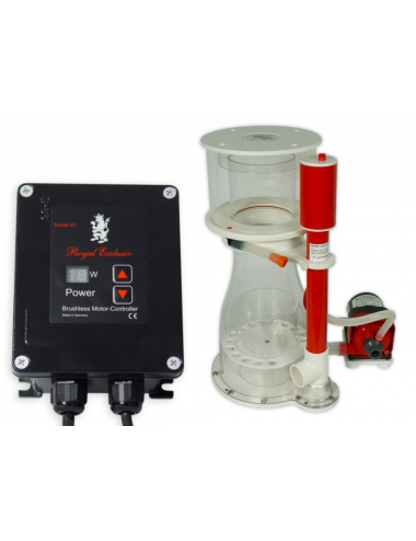 ROYAL EXCLUSIV - Bubble King® Double Cone 200 + RD3 Speedy - Skimmer for up to 1000 liters