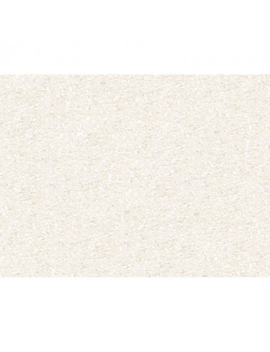 AMA GmbH Natural White Aragonite Living Sand 0.1-0.5mm