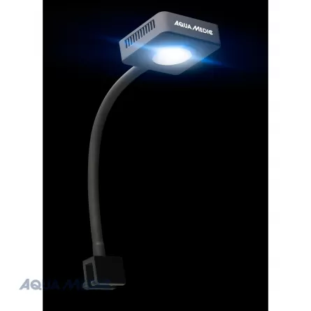 AQUA-MEDIC - Qube 30 - Spot LED pour aquariums d'eau de mer
