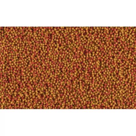 TETRA - Cichlid Color - 500ml - Granuli per Ciclidi