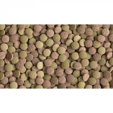 TETRA - TabiMin XL Tabletten - 150 ml - Alleinfuttermittel für große Grundfische