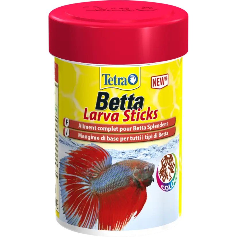 Tetra fish fighting hotsell