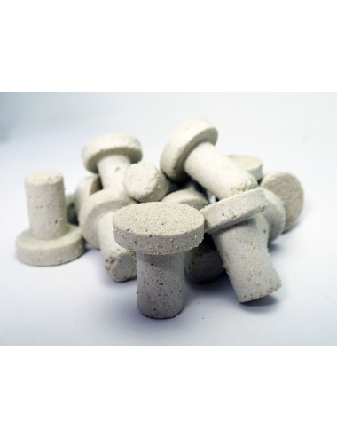 Plugs for 100% aragonite cuttings