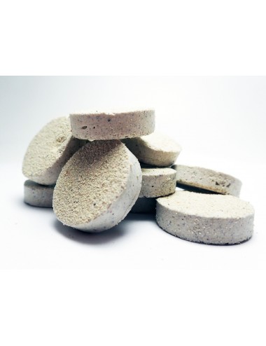 20 Plugs for cuttings 100% aragonite