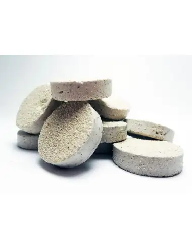 20 Plugs for cuttings 100% aragonite